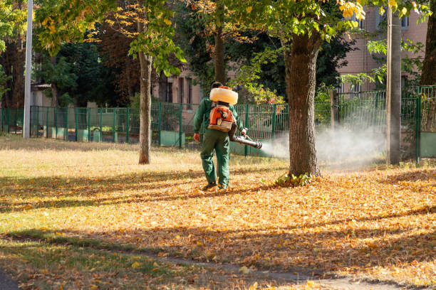 Professional Pest Control in Melrose, MA
